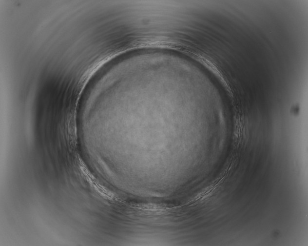 X0000116100980200912071255