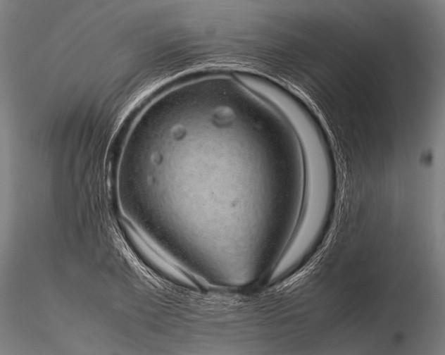 X0000116100981200912071255