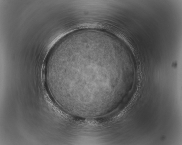 X0000116100983200912071255