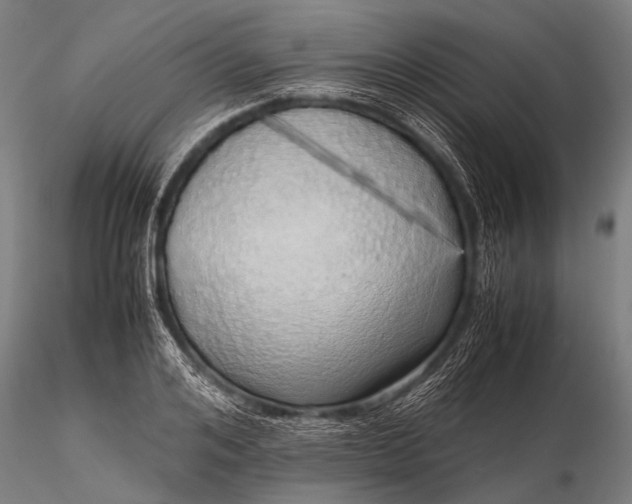 X0000116100984200912071255