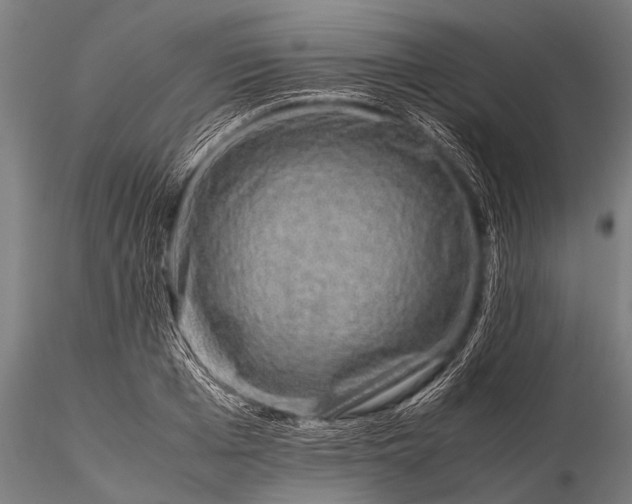 X0000116100985200912071255