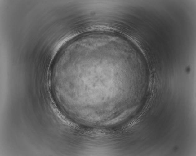 X0000116100987200912071255