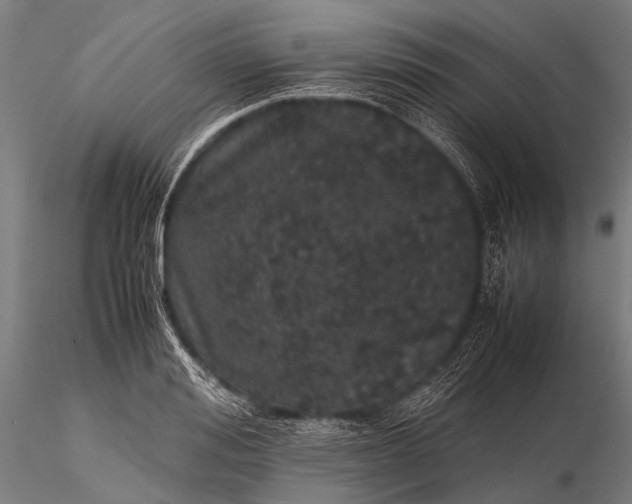 X0000116100988200912071255