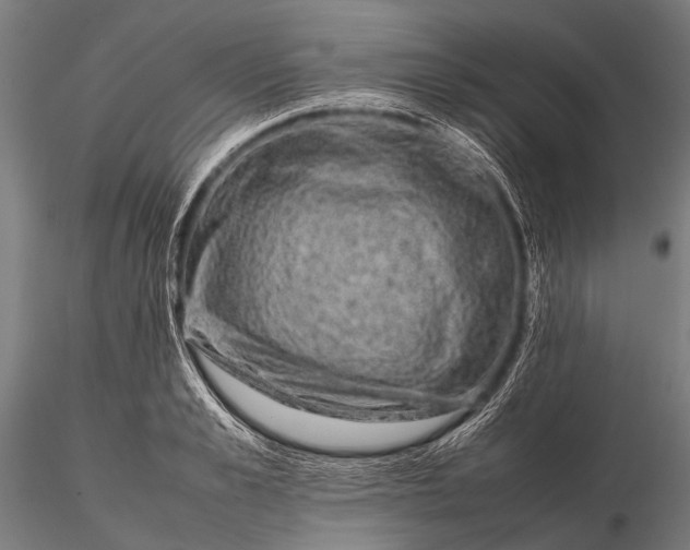 X0000116100989200912071255