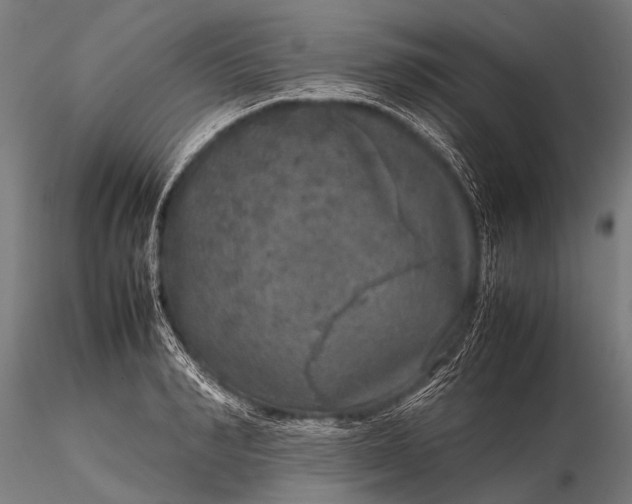 X0000116100990200912071255