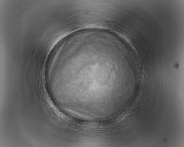 X0000116100991200912071255