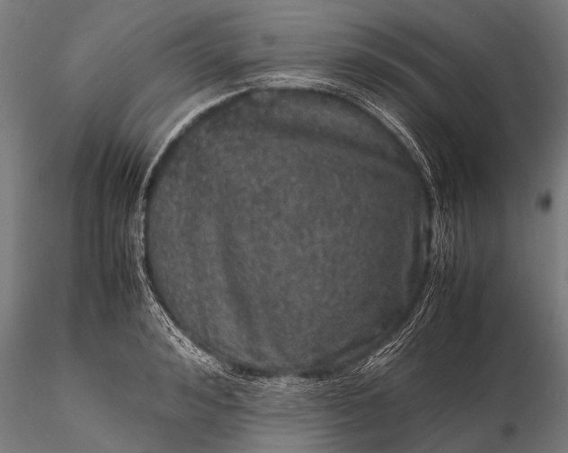 X0000116100992200912071255