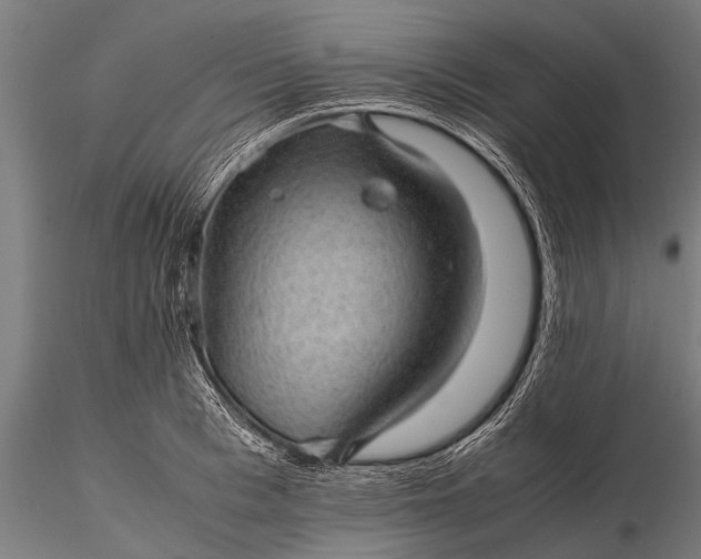 X0000116100993200912071255