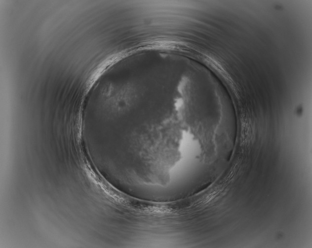 X0000116100994200912071255