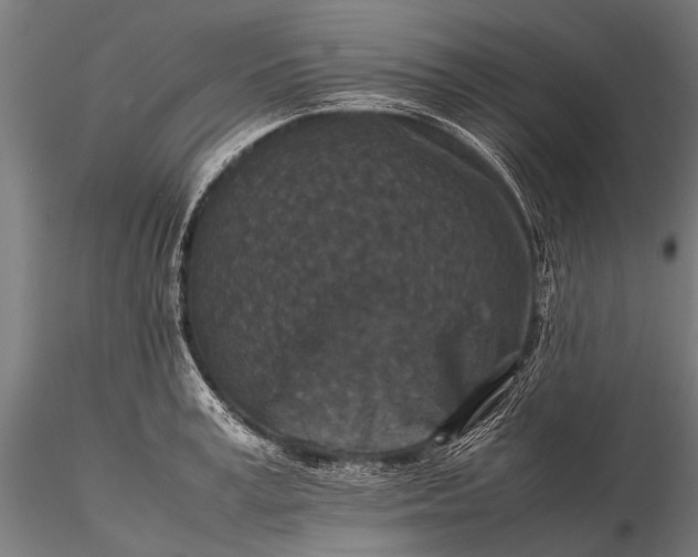 X0000116100995200912071255