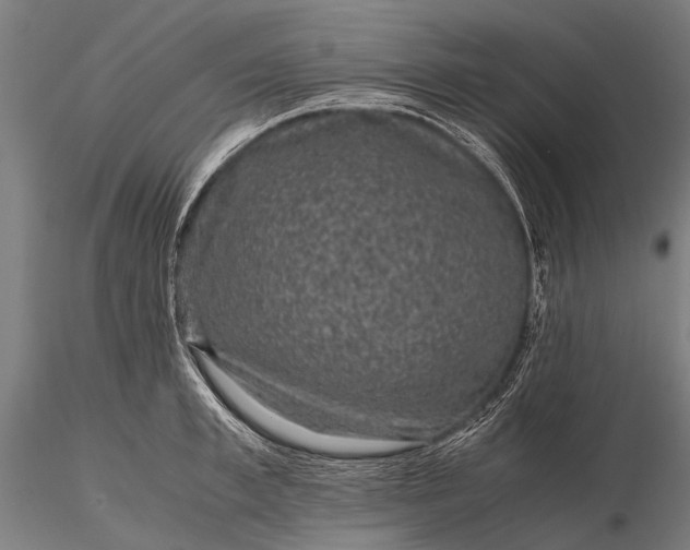 X0000116100997200912071255