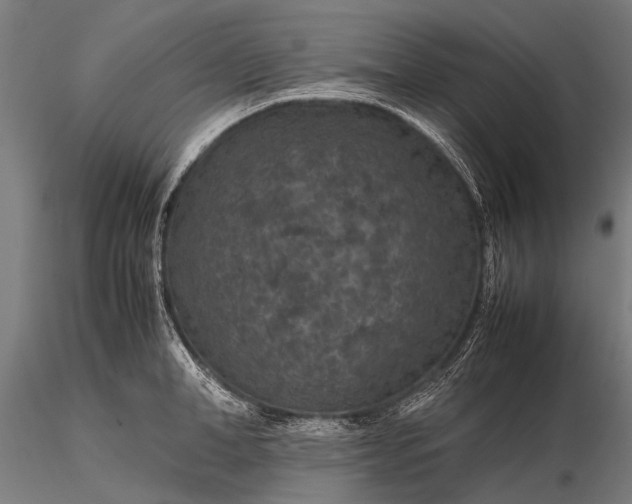 X0000116100998200912071255