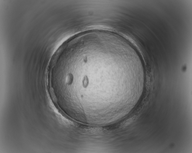 X0000116100999200912071255