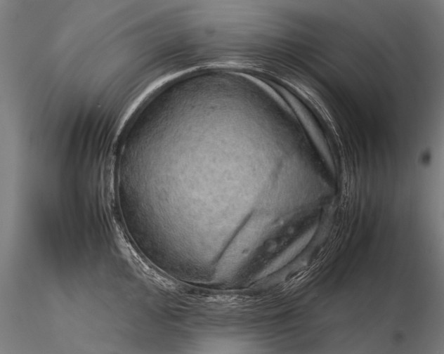 X0000116101000200912071255