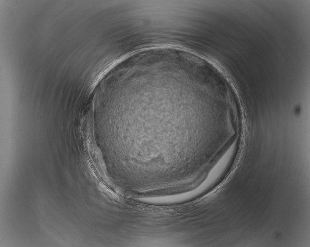 X0000116101001200912071255