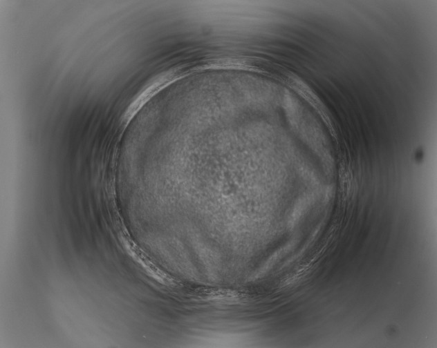 X0000116101002200912071255