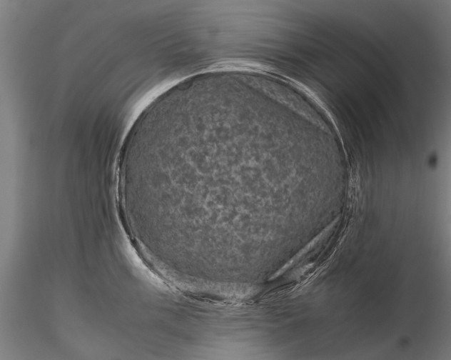 X0000116101003200912071255