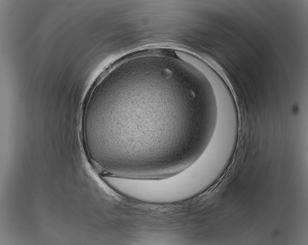 X0000116101005200912071255