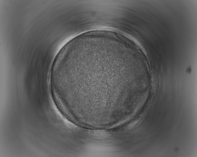 X0000116101007200912071255