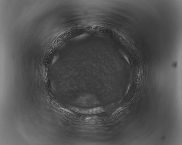 X0000116101013200912071254