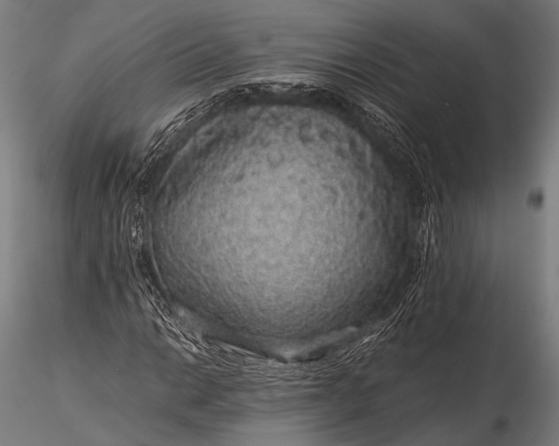 X0000116101014200912071254