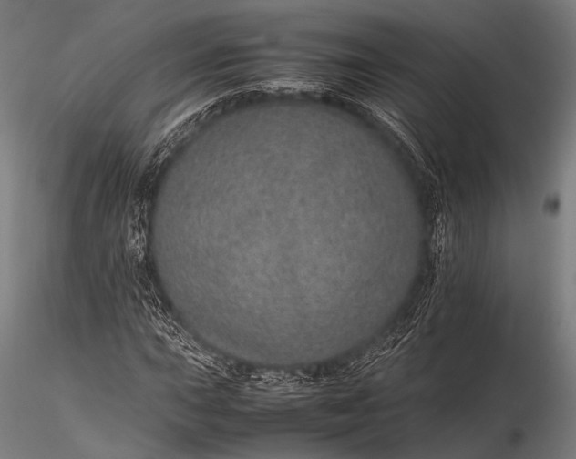 X0000116101015200912071254