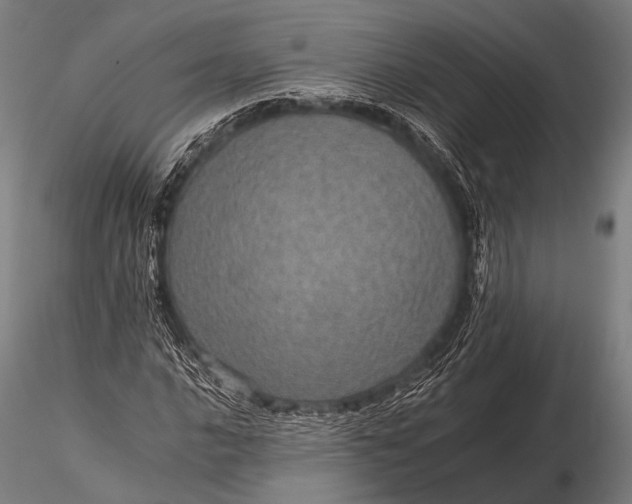 X0000116101016200912071254