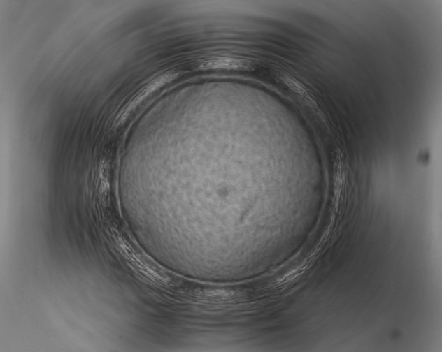 X0000116101017200912071254