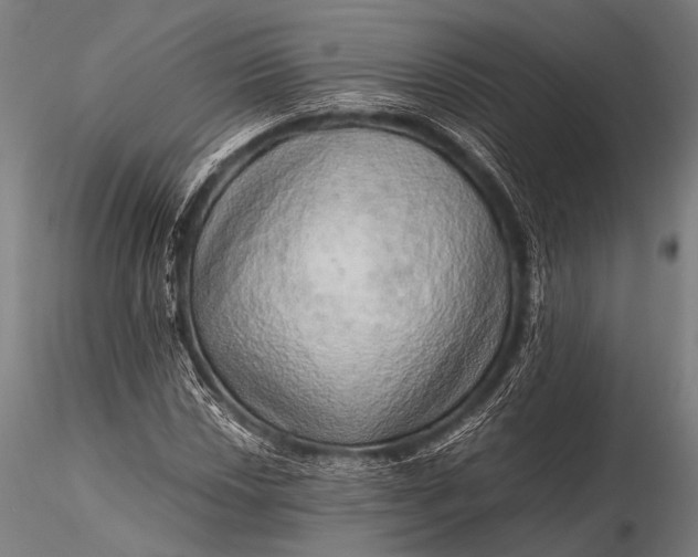 X0000116101018200912071254