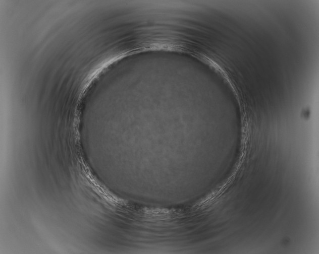 X0000116101019200912071254