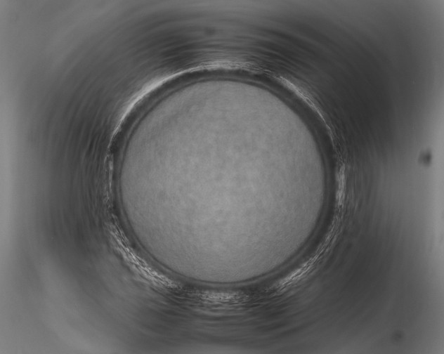 X0000116101021200912071254