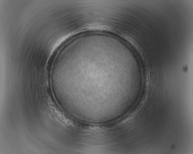 X0000116101022200912071254