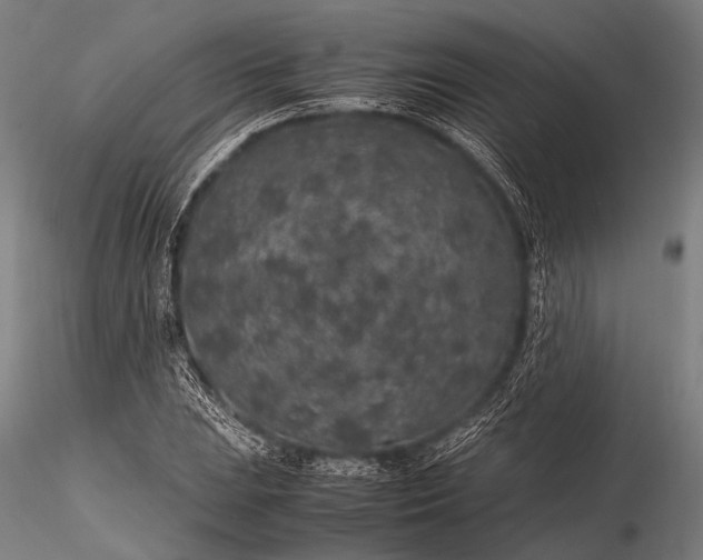 X0000116101023200912071254