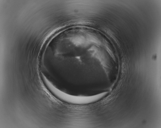 X0000116101024200912071254