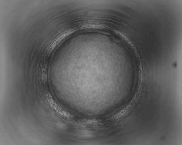 X0000116101025200912071254