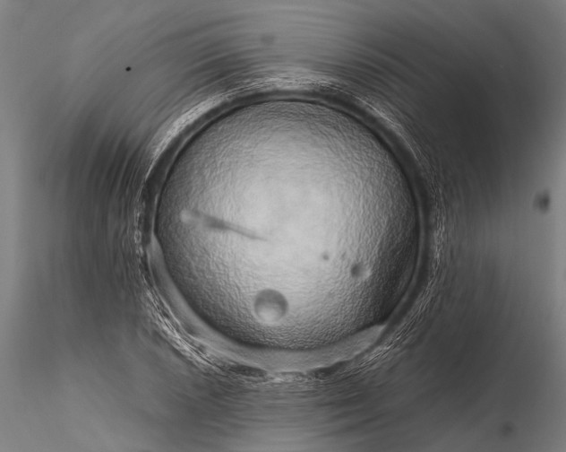 X0000116101026200912071254