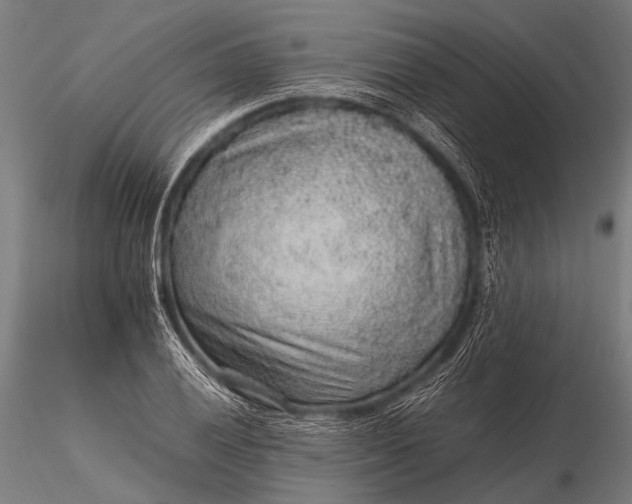 X0000116101028200912071254