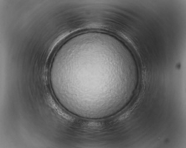 X0000116101029200912071255