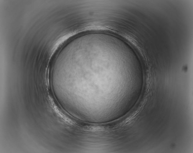 X0000116101030200912071255