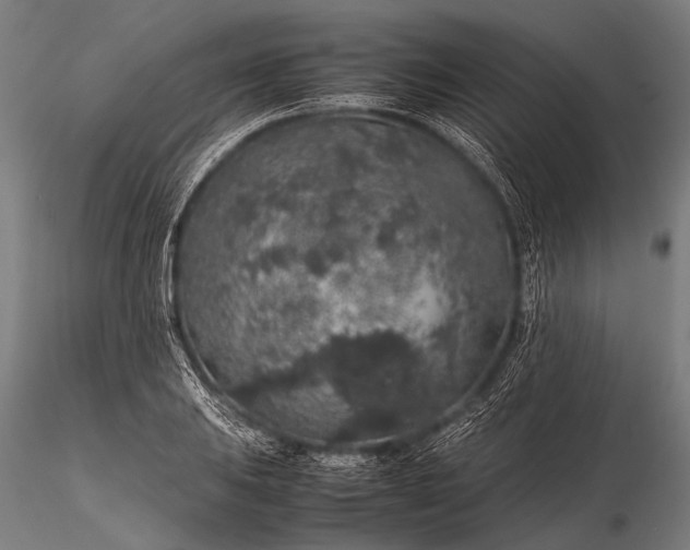 X0000116101031200912071255