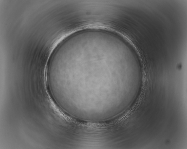 X0000116101032200912071255