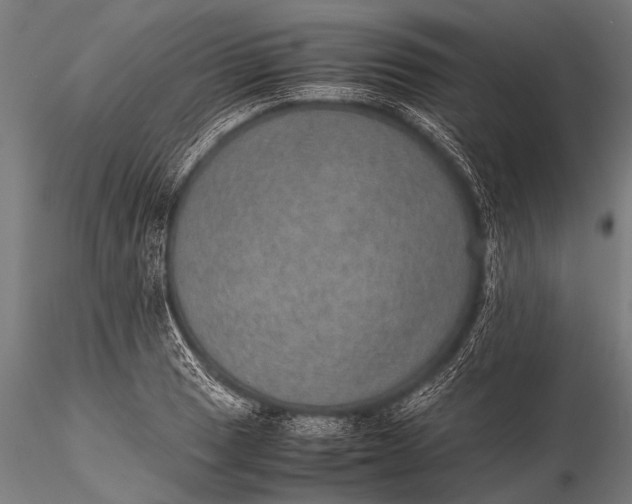 X0000116101033200912071255