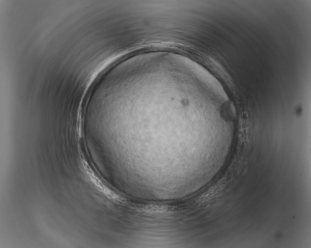 X0000116101036200912071255