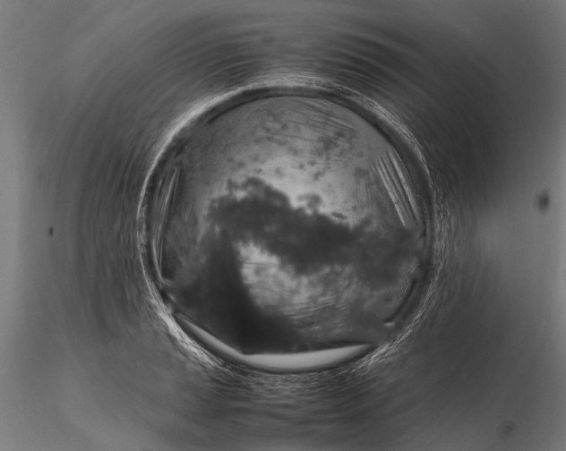 X0000116101037200912071255