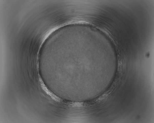 X0000116101038200912071255