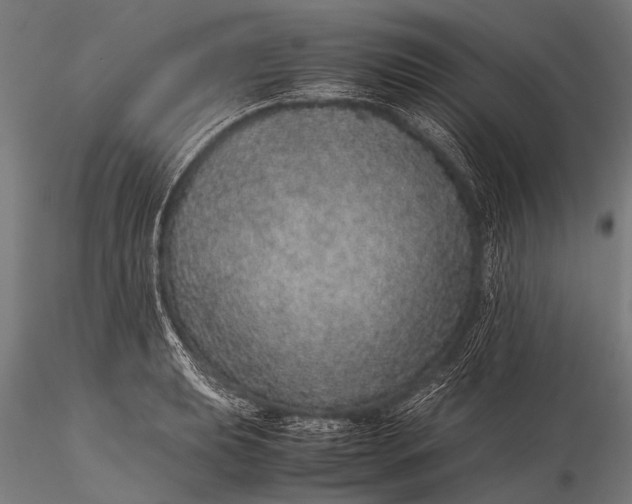 X0000116101039200912071255