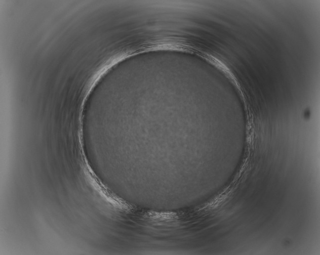 X0000116101043200912071255