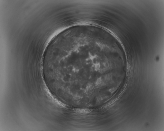 X0000116101045200912071255