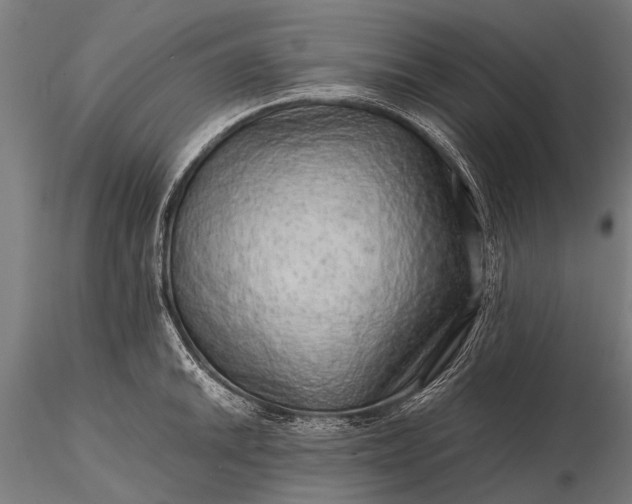 X0000116101046200912071255