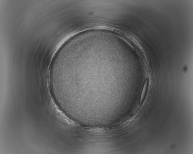 X0000116101048200912071255